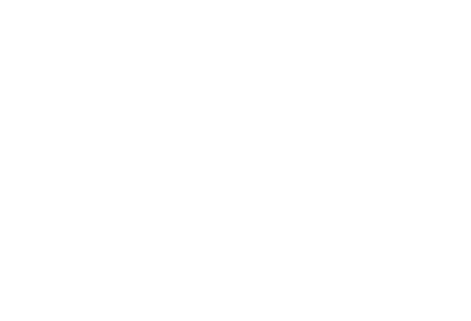 FOOTER_FINANCED 1