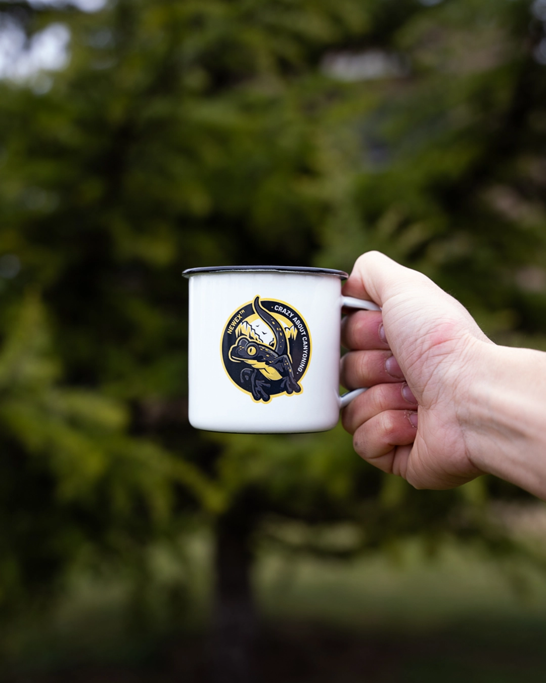 25-TAZAS_01
